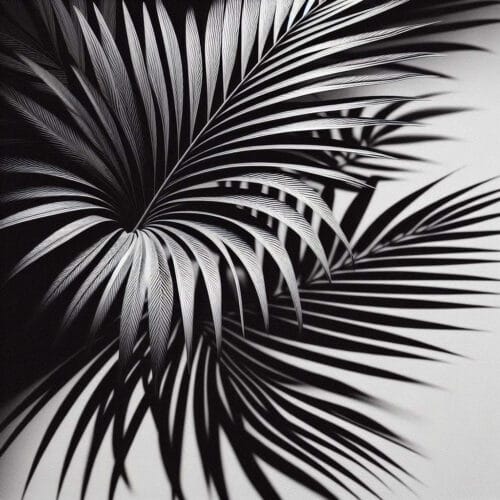 Feuilles de Palmier Élégantes en Noir et Blanc