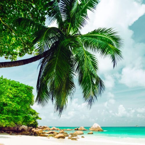 Plage de Paradis Tropical