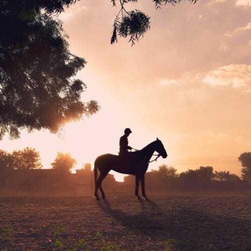 Cavalier au crépuscule