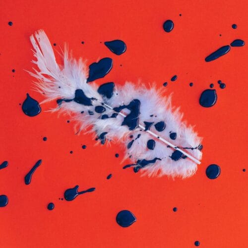 Plume Éclaboussée de Peinture