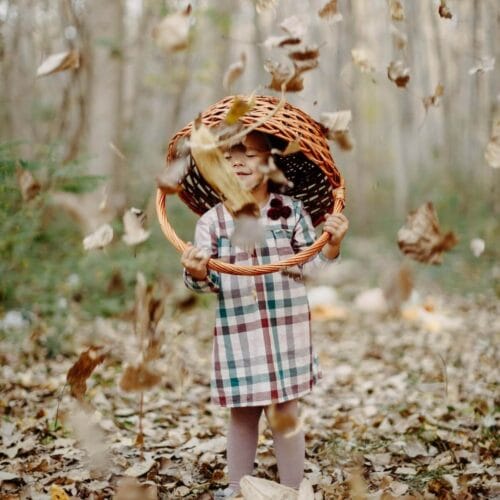 Jeu d'automne avec panier