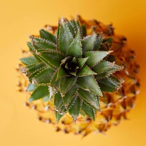 Ananas vu de dessus