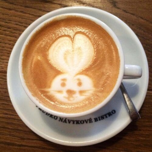 Café Latte avec Art Lapin