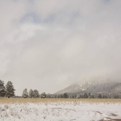 Prairie enneigée