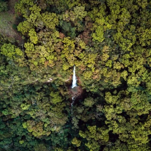Cascade dans la forêt tropicale