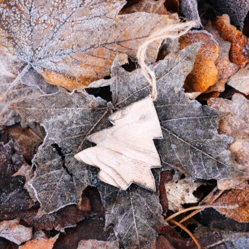 Décoration en bois sur feuilles givrées