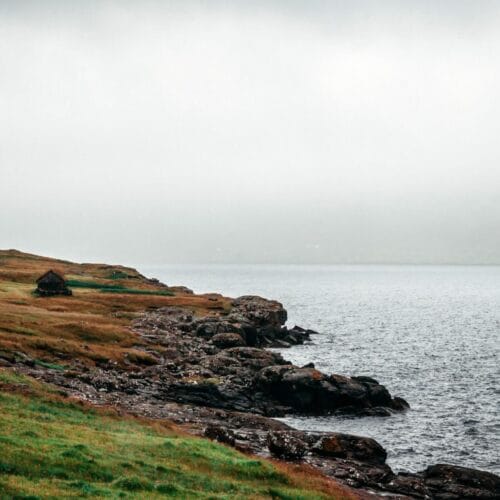 Rivage brumeux et sauvage