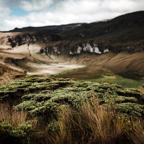 Vallée sauvage au cœur des montagnes