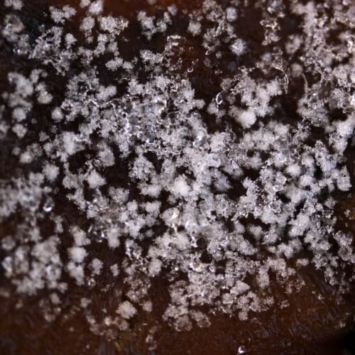 Flocons de neige en gros plan