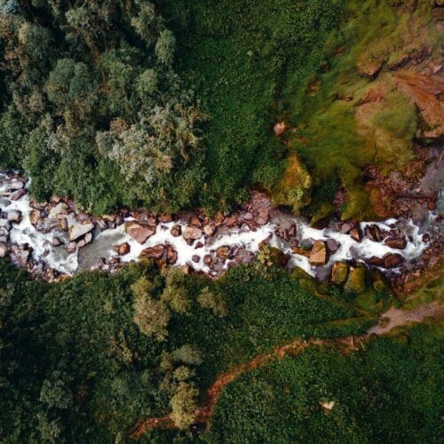 Rivière sinueuse dans la forêt