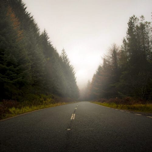 Route forestière mystérieuse sous la brume