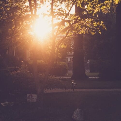 Rayon de Soleil au Crépuscule