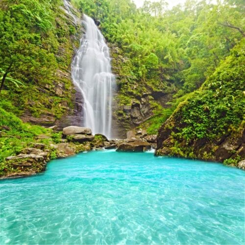 Cascade paradisiaque au cœur de la jungle