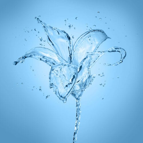 Fleur en Eau