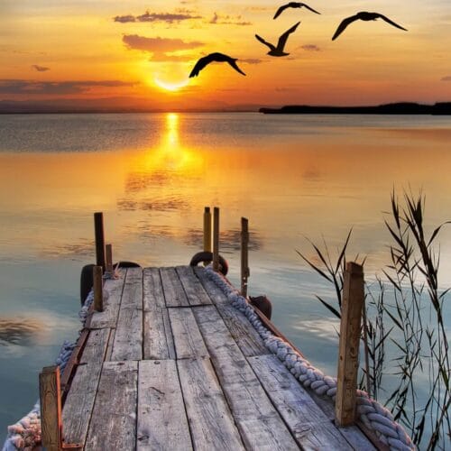 Coucher de Soleil au Bord du Lac