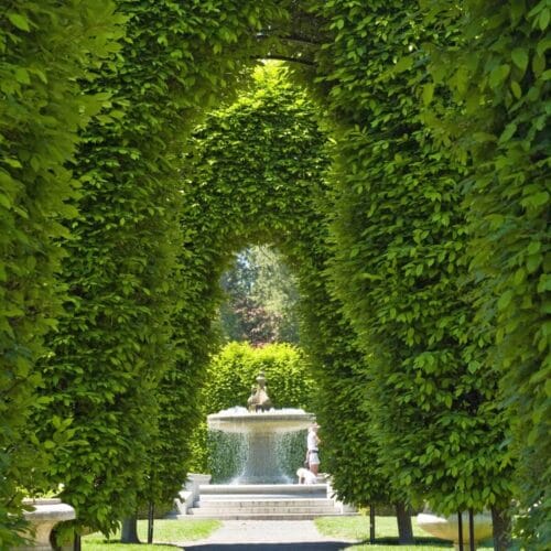 Allée Verte