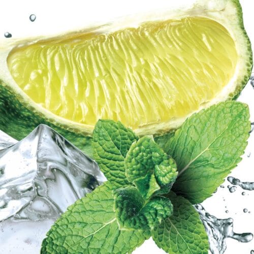 Citron et Menthe