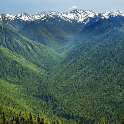 Paysage Montagneux Verdoyant