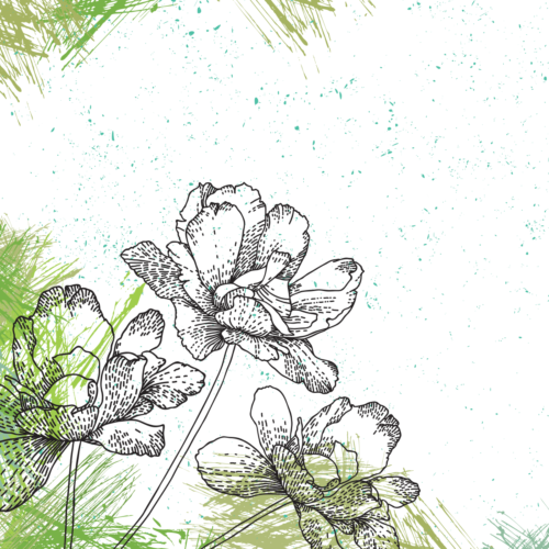 Illustration de fleurs en croquis
