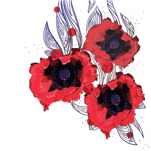 Illustration artistique de coquelicots
