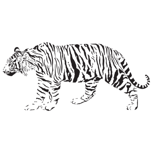 Illustration de tigre en style minimaliste