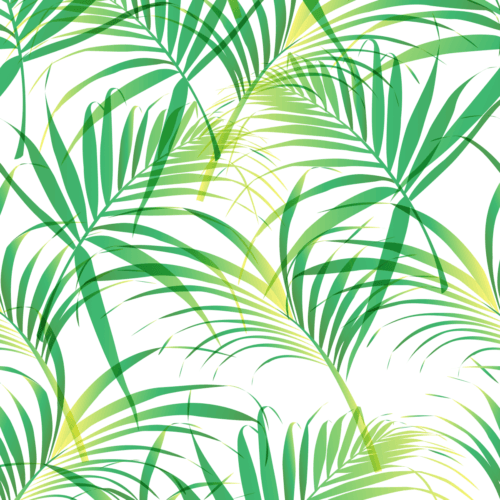 Motif de palmes tropicales