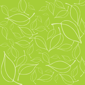 Feuilles Élégantes